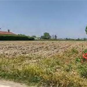 Terreno Agricolo in vendita, nei pressi delle frazioni di Aliarolo e Gerre Ghiozzo snc, Cava Manara