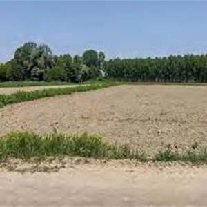 Terreno Agricolo in vendita, nei pressi delle frazioni di Aliarolo e Gerre Ghiozzo snc, Cava Manara