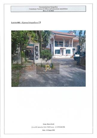 Foto1