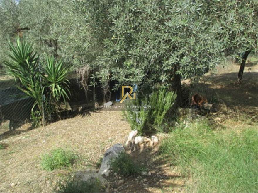 Photo 26