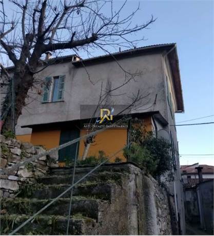 Foto1
