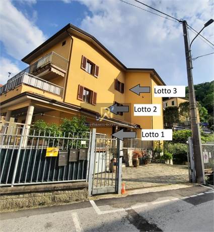 Foto1