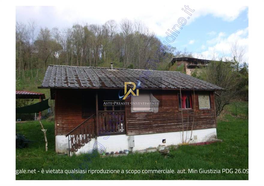 Foto1