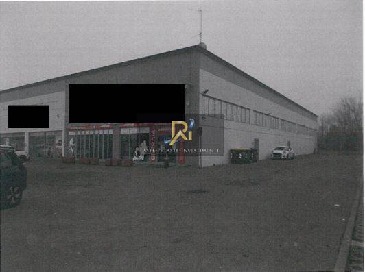 Foto1