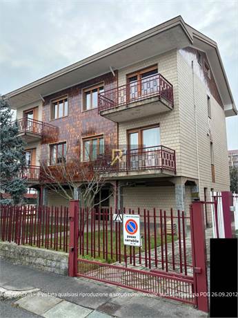 Foto1