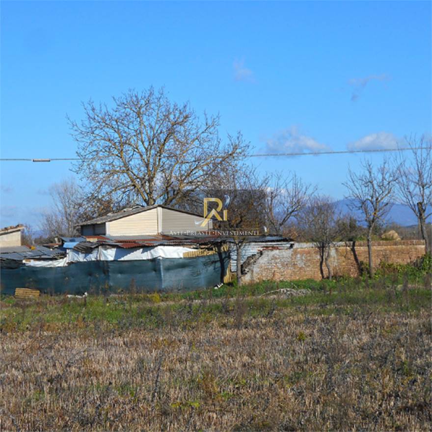 Photo 46