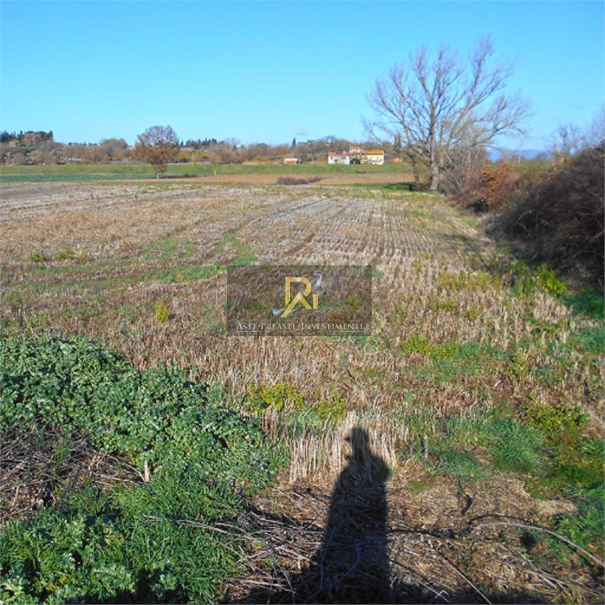 Photo 49