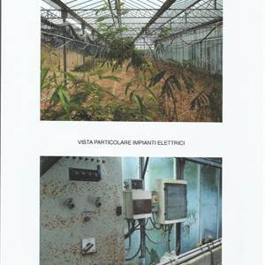 Terreno Agricolo in vendita, Frazione Campochiesa, Regione Campore 11, 11, Albenga