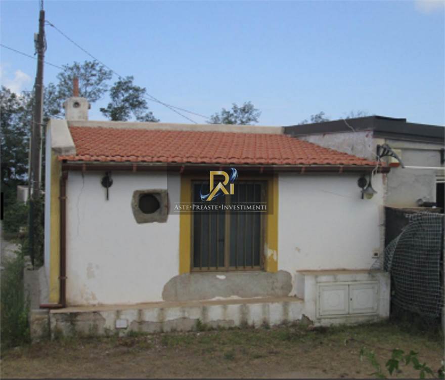 Photo 22