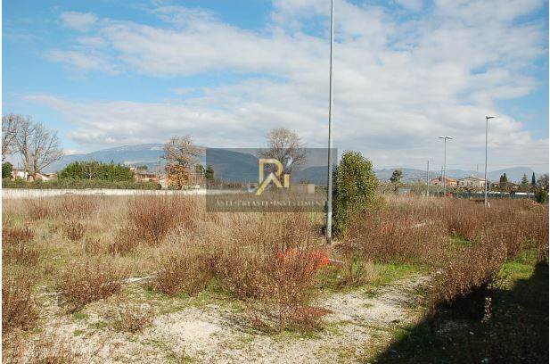 Foto1