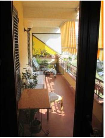 Foto1