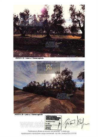 Photo 32