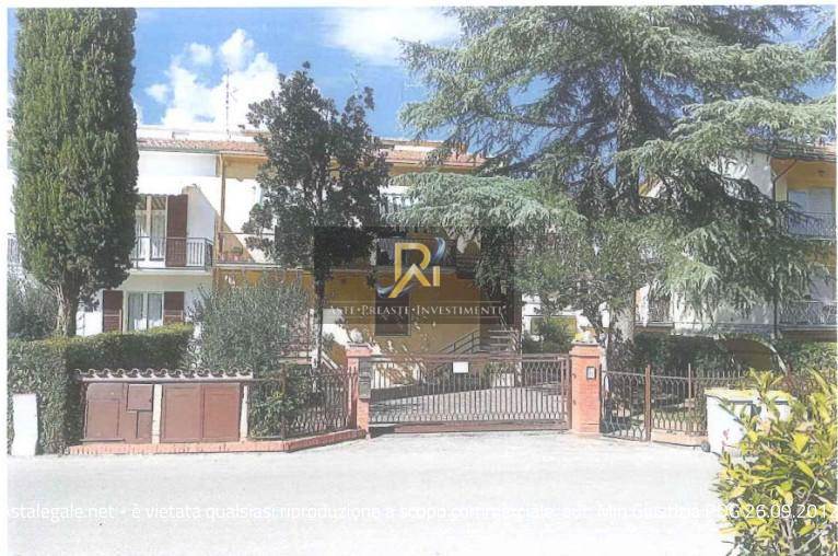 Foto1