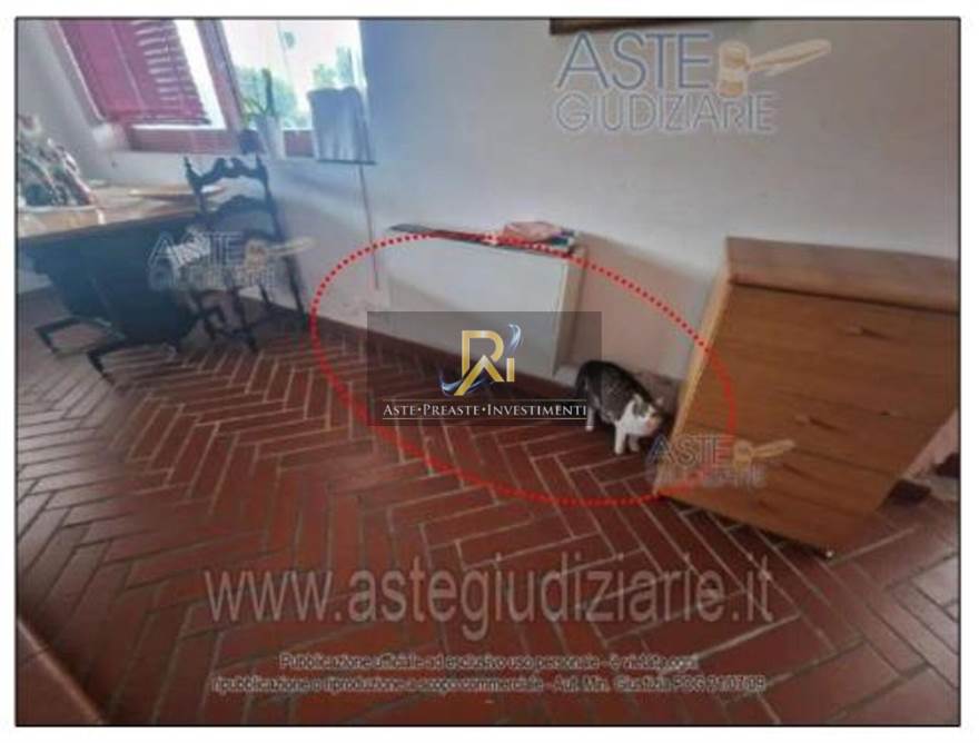 Photo 39