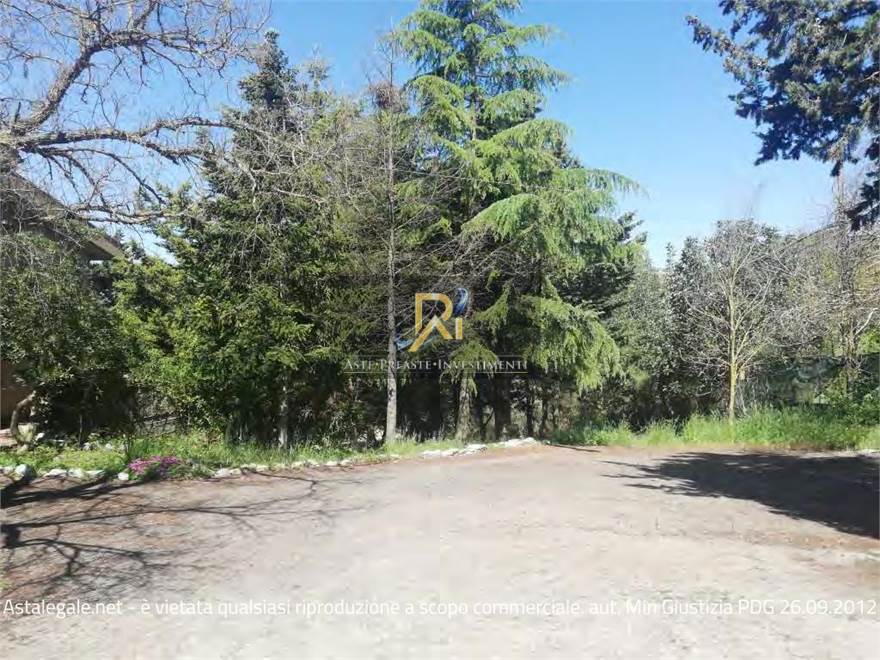 Documento con foto (< 1 Mb)