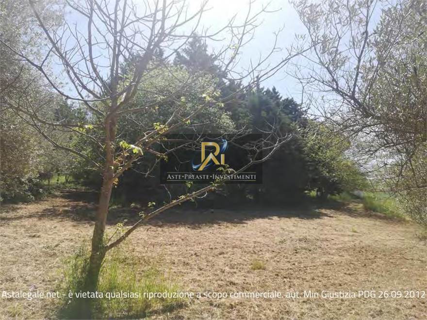 Documento con foto (< 1 Mb)