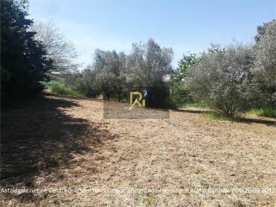 Documento con foto (< 1 Mb)