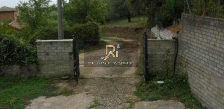 Photo 24
