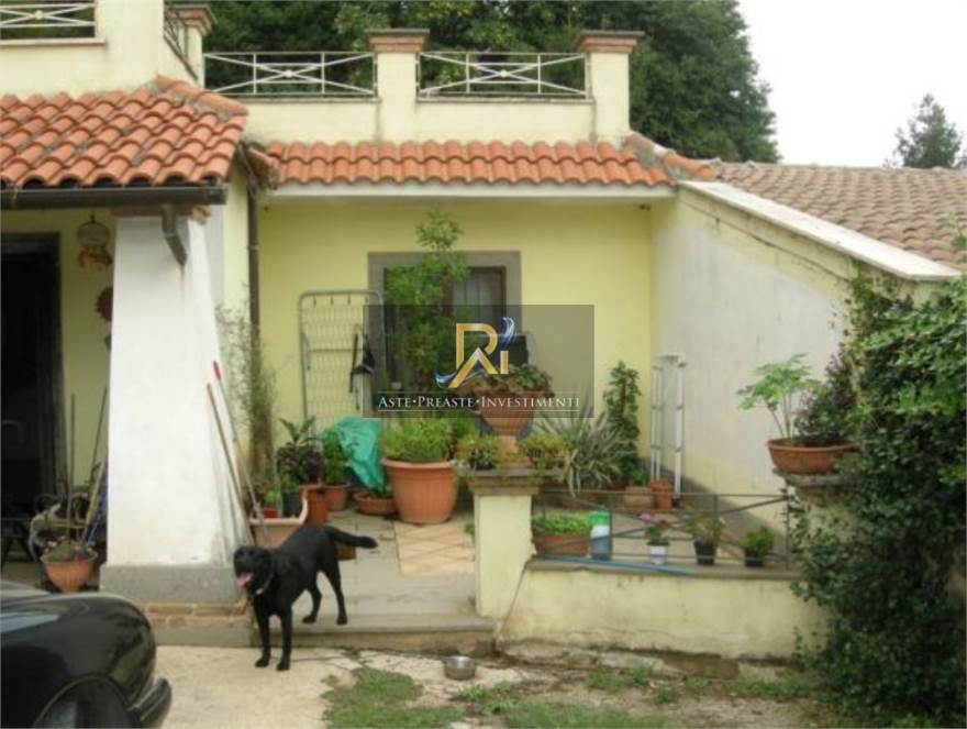 Photo 29