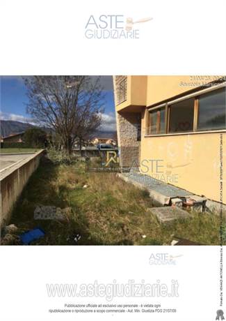 Photo 38