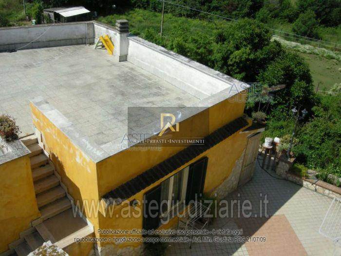Photo 44