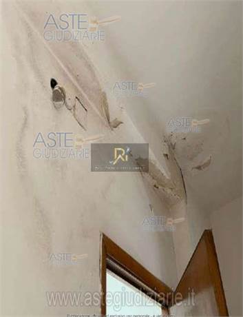 Photo 50