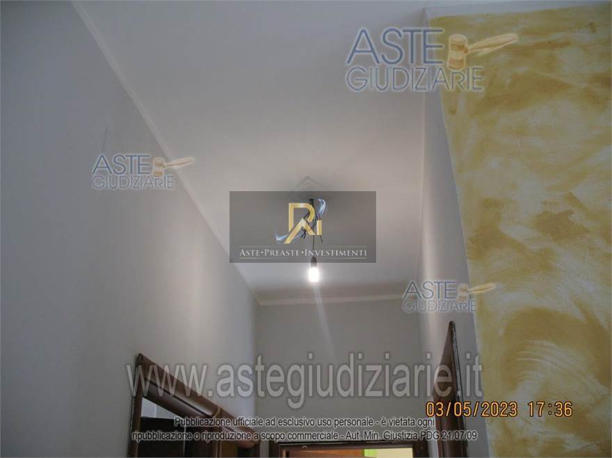 Photo 35