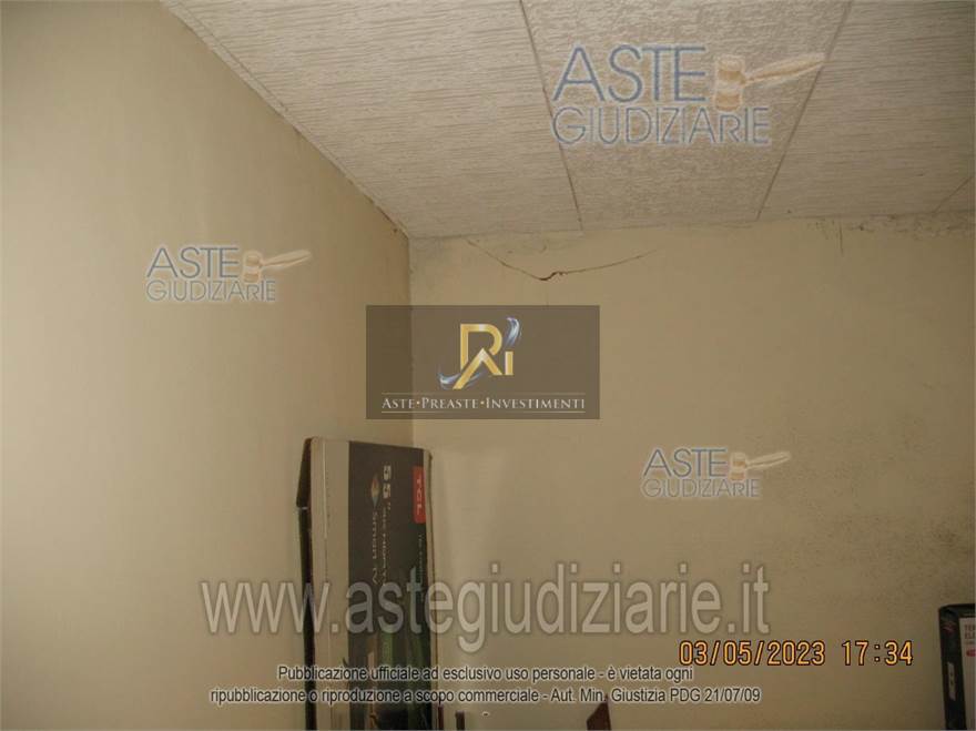 Photo 51