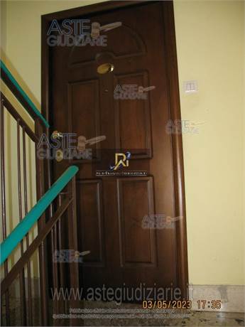 Photo 56