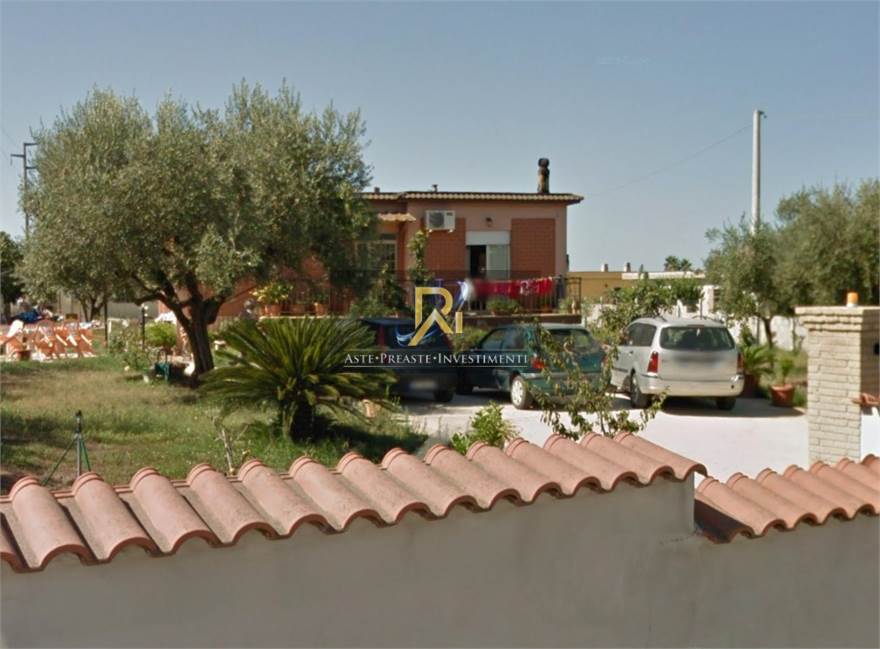 Photo 44